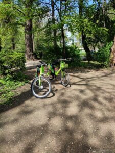 Margaret Island: A peaceful oasis in the heart of Budapest, perfect for relaxation and nature walks