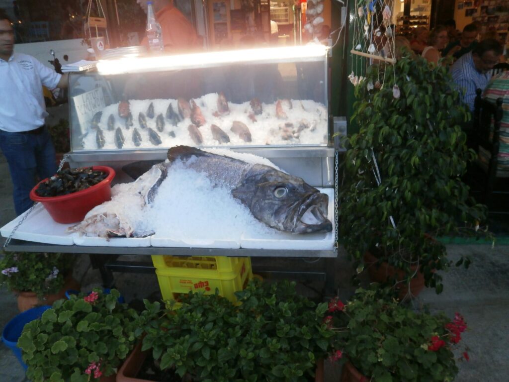 Fresh fish in Skopelos