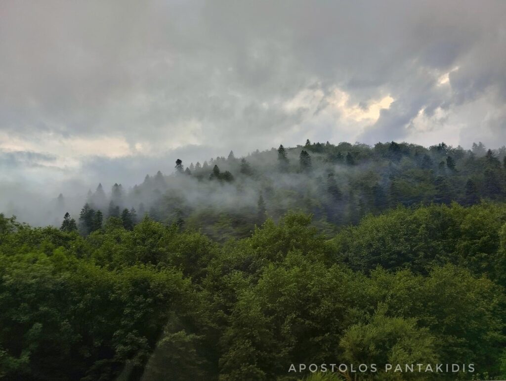 Carpathian Mountains